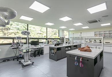An optimal veterinary hospital lab that simulates a working environment with various medical equipment and the latest practice tools for tailored training.