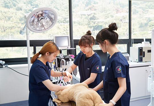 Department of Companion Animal Health img
