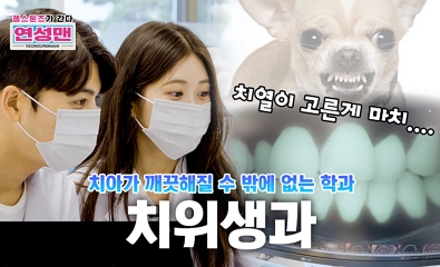 젬스톤즈가 간다 치위생과