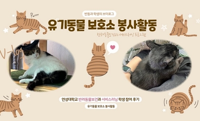 서비스러닝 봉사활동