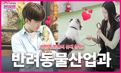 반려동물산업과