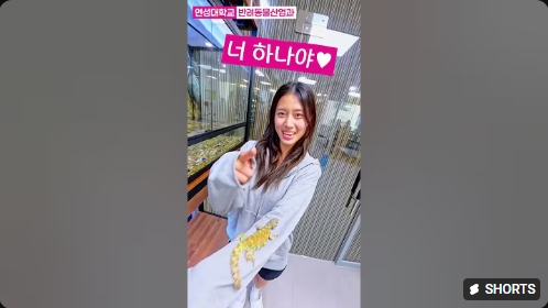 반려동물산업과