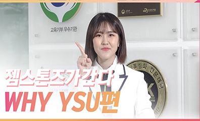 젬스톤즈가 간다 why ysu편