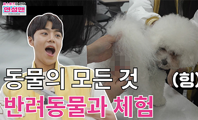 젬스톤즈가 간다 반려동물보건과